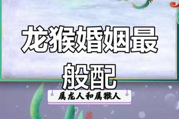 生肖鼠龙组合：天作之合的背后