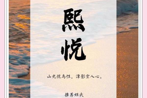 熙字寓意的女孩名字精选，传递温柔与智慧的气质