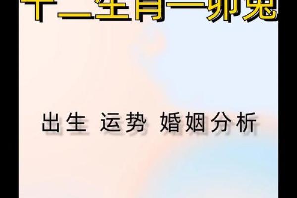 兔人运势解析：如何抓住机遇迎接新挑战