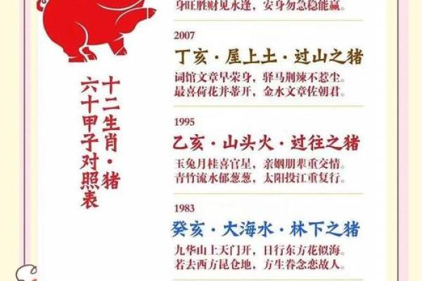 属猪如何提升财运与事业发展