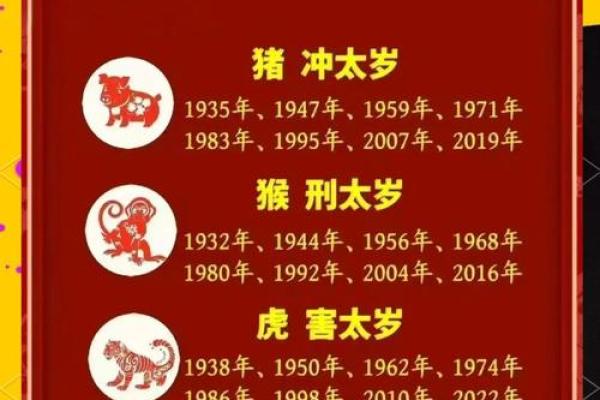 属猪如何提升财运与事业发展