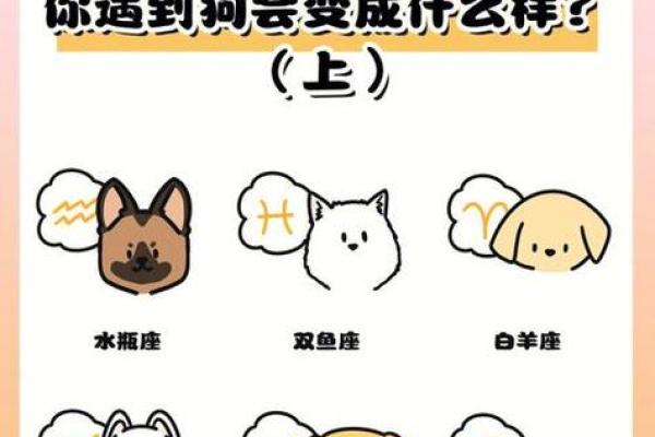 从命理角度看龙狗是否相配