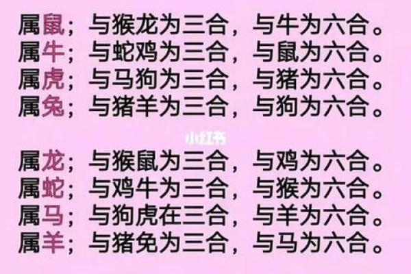 从命理角度看龙狗是否相配