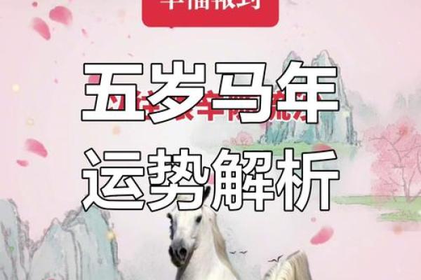 属马今天的运程建议：智慧决策带来好运