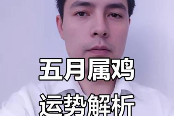 属鸡人今日运势解析：掌握命运的关键时刻