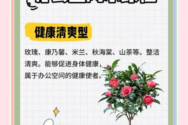 办公室缺乏阳光对风水的影响及解决方法