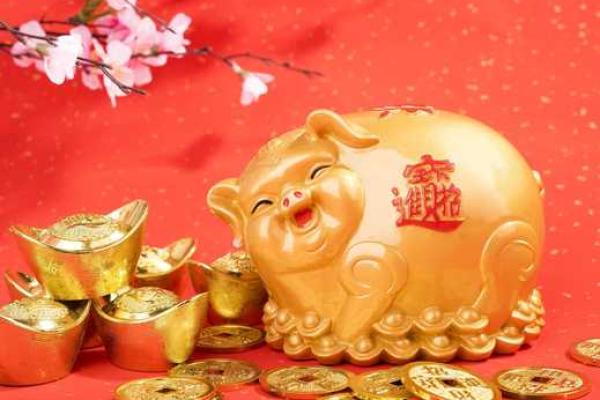 属猪本命年做哪些事情有利于运势