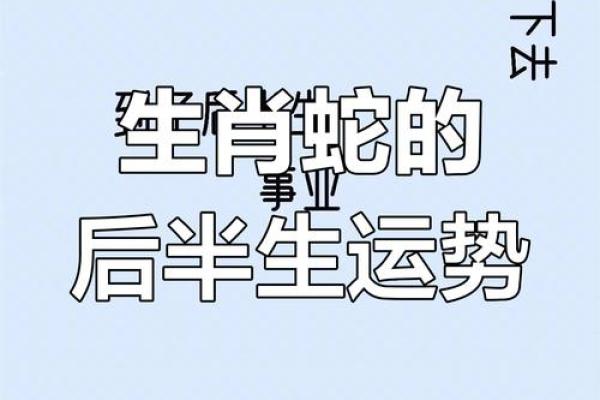 属蛇人在如何化解财运挑战