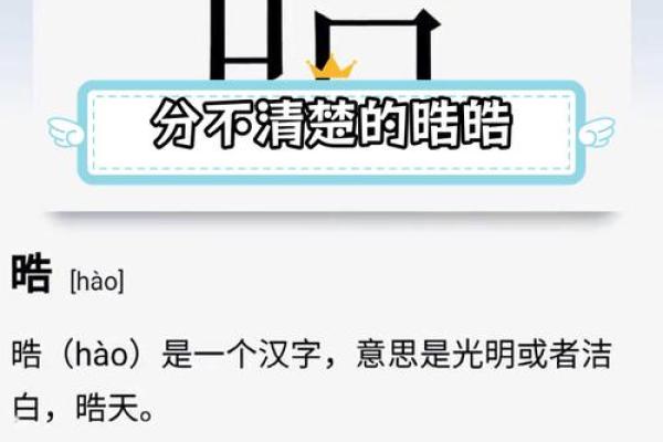 渼五行属性解析：到底属于哪一行？
