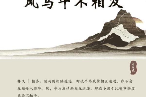 马与牛的协作模式：如何激发彼此的潜力