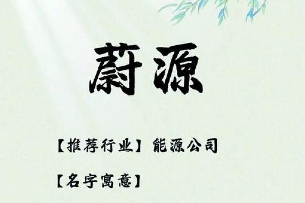 能源公司命名技巧与精选名称推荐