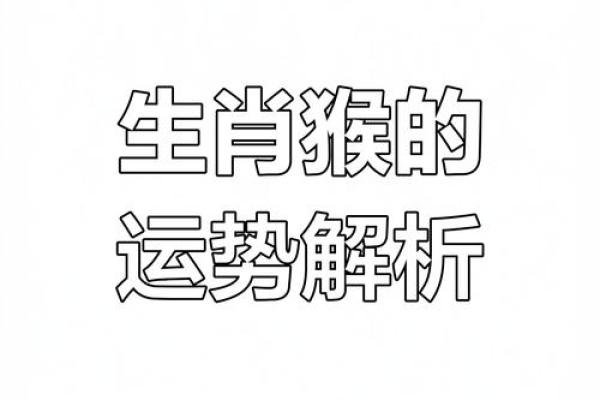 猴年到来，属狗人如何提升自己的运气