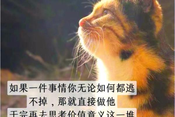 本命年狗女如何寻找生活中的平衡