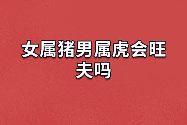 属虎男与属猪女的爱情运势解析