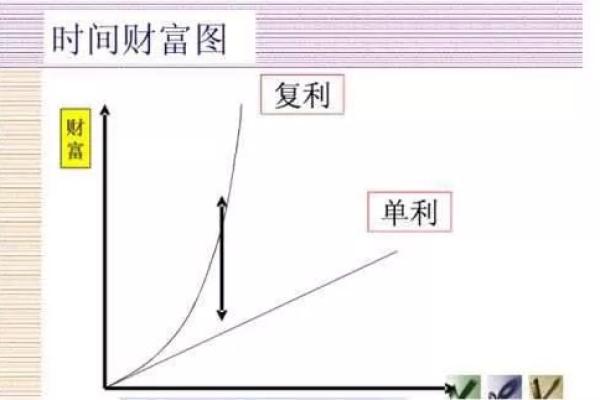 揭秘金钱豹的五行属性：助你掌握财富密码