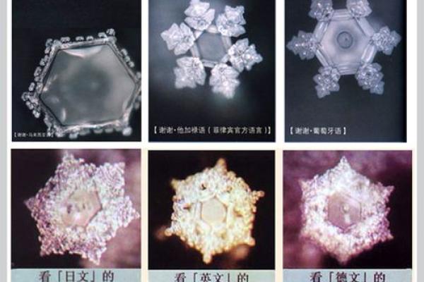 沐五行到底属于木还是水？答案竟然是这样！