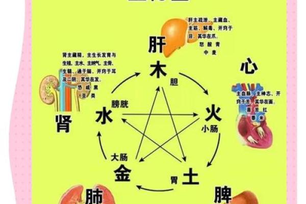 沐五行到底属于木还是水？答案竟然是这样！