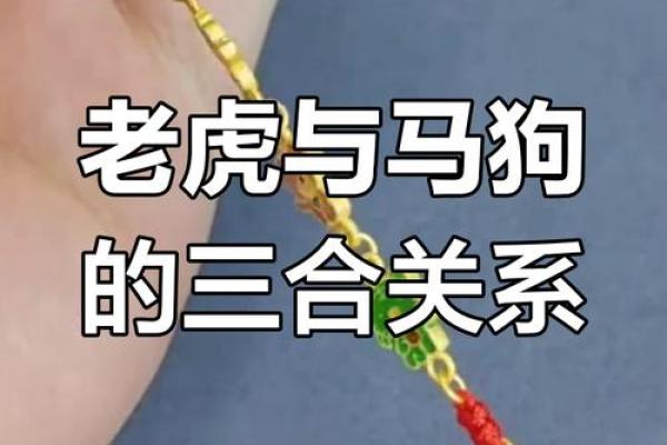 狗与虎的婚姻配对分析：优势与劣势