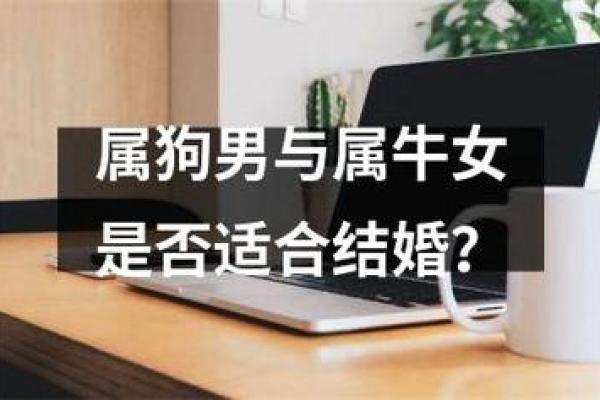 男鸡女狗是否是理想配对分析