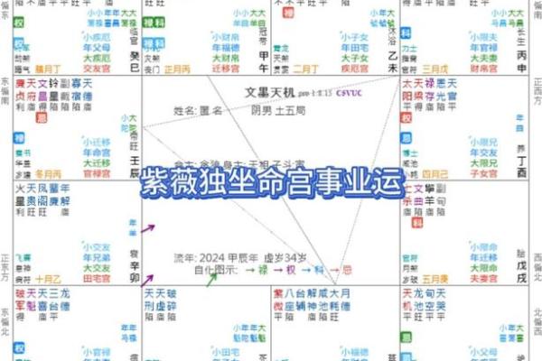 紫薇八字详解：掌握命运的钥匙从紫薇八字开始