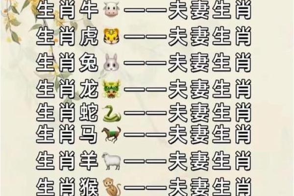 男鼠女鸡能否和谐相处的深度解读