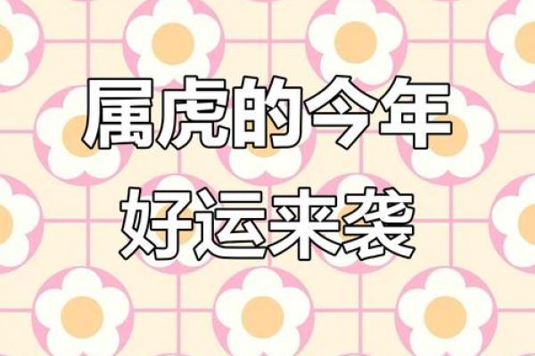 如何提升狗年属虎人的运势与财运