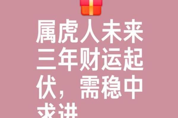 如何提升狗年属虎人的运势与财运