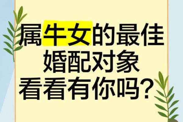 属牛男与属鼠女的爱情配对分析