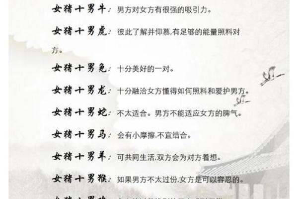 属兔男与属猪女的爱情兼容性揭秘