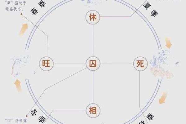 暖的五行属性解析：揭示它在生活中的神奇作用
