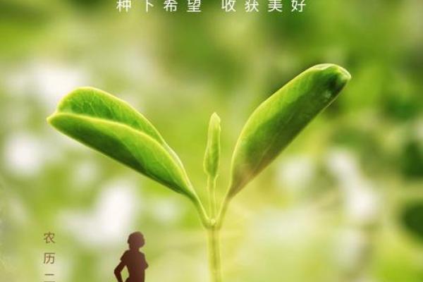 绿色的名字：自然与生命的象征
