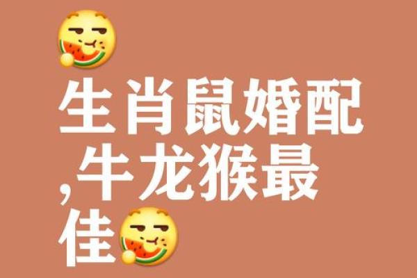 鼠男与鸡女：相爱能否长久