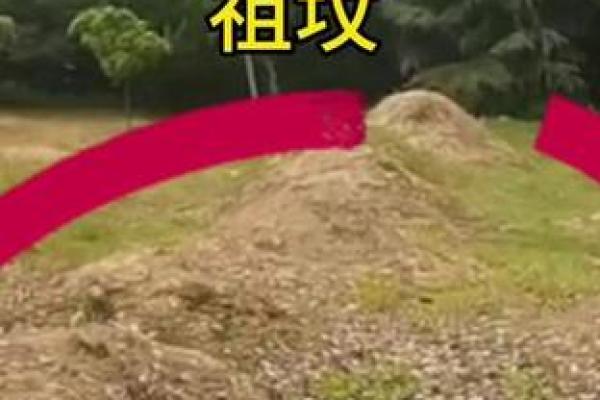枭雄的八字背后，藏着一生的命运轨迹