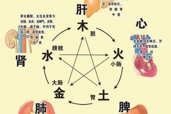五行木缺对健康的影响，你知道吗？
