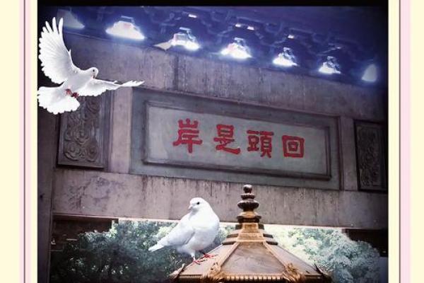 本命年蛇男如何保持内心的平静