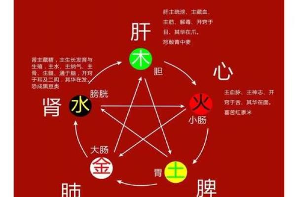 揭秘透明五行：你不知道的五行能量秘密！