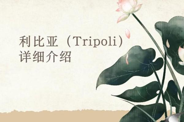 探索Fiona名字的历史背景与全球认知