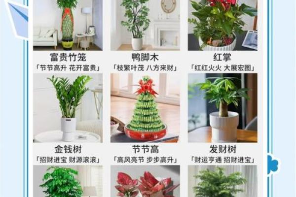 办公室风水禁忌之假花的摆放误区解析