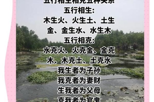 五行对子如何影响命运？探秘五行与命理的深刻关系