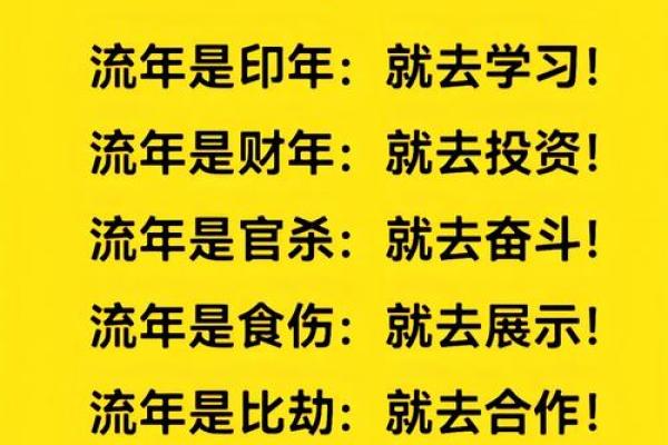 亥时命是否注定成功？解析命运走向