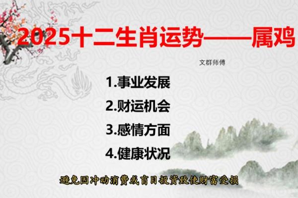 鸡年公司起名吉祥字的选择与寓意分析