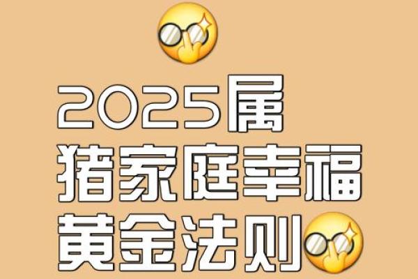 属猪人本命年理财建议