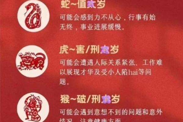 本命年猪女的自我提升与成长