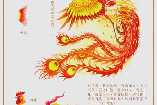 朱雀五行属什么？揭开这个古老神秘的秘密