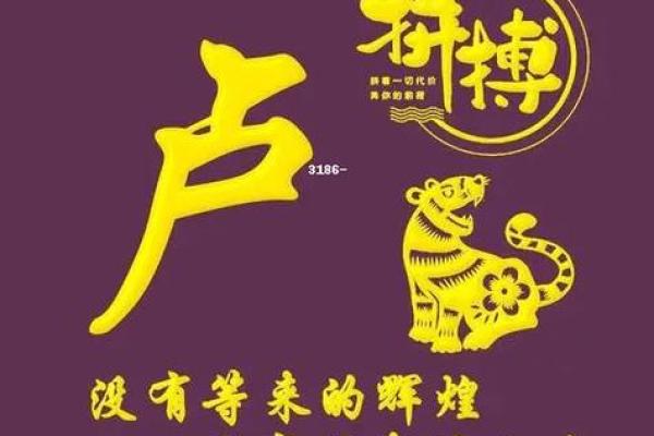 给姓卢女孩起名的灵感与创意