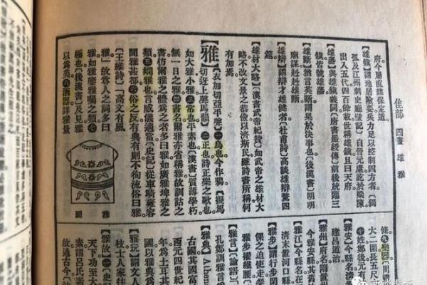 选择雅字作为名字的深层含义与影响