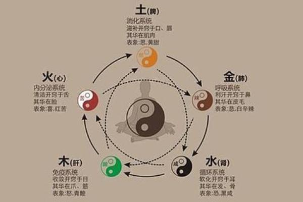 深入解析农历五行，助你更好把握人生！