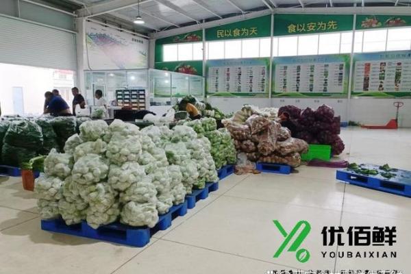 如何为蔬菜配送公司选择一个合适的名字并进行测试