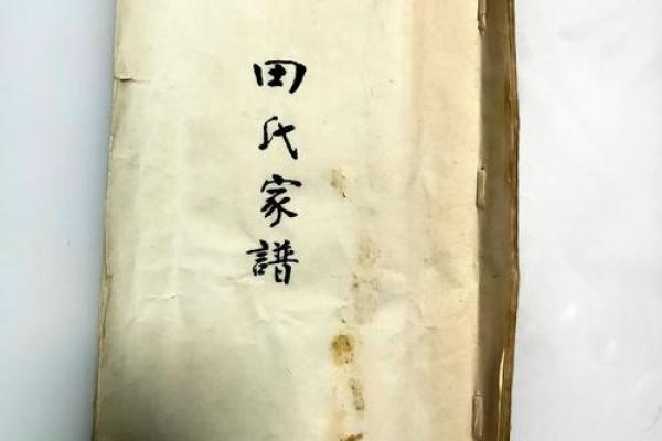 探索田姓的传统与发展