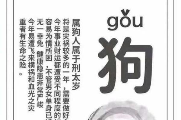属马人本命年如何避免健康问题